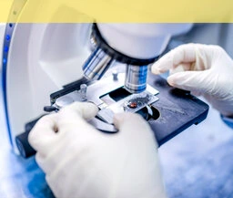 Branche Healthcare & Medizintechnik Unternehmensberatung Branche Healthcare & Medizintechnik