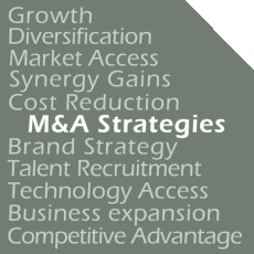 Selling a company - M&A Strategies